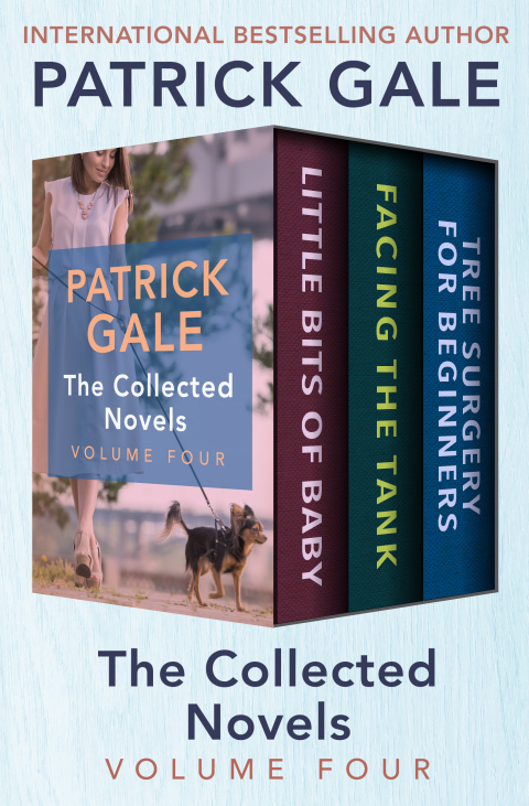 Cover image for book The Collected Novels Volume Four