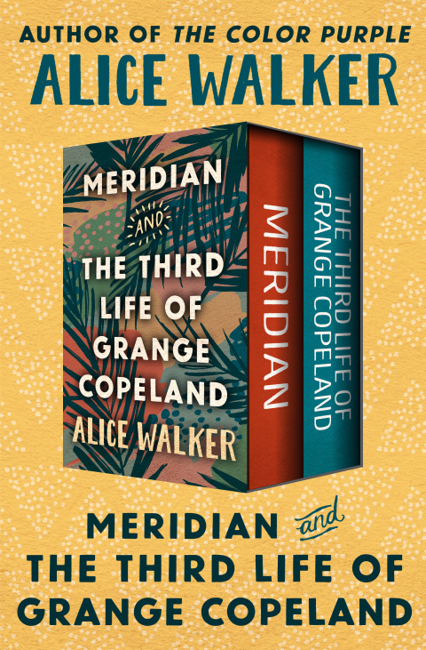 Cover image for book Meridian and The Third Life of Grange Copeland