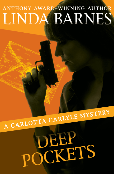 Cover image for book Deep Pockets