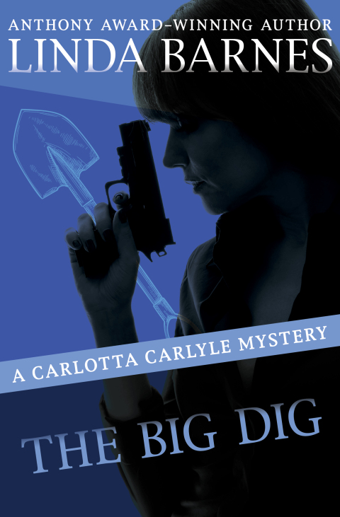 Cover image for book The Big Dig
