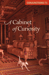 Cover image: A Cabinet of Curiosity 9781504057752