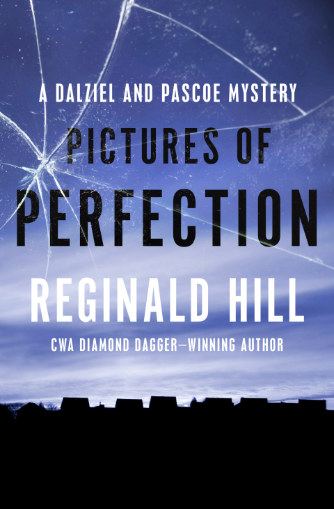 Cover image for book Pictures of Perfection