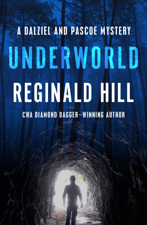 Cover image for book Underworld