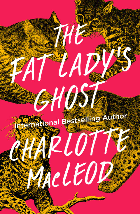 Cover image for book The Fat Lady's Ghost