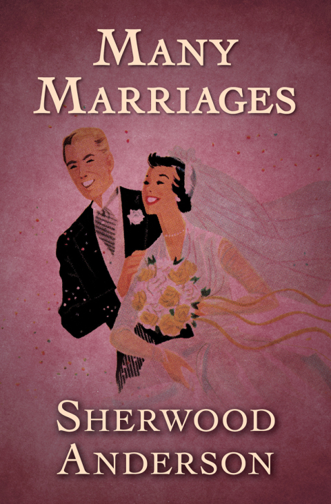 Cover image for book Many Marriages