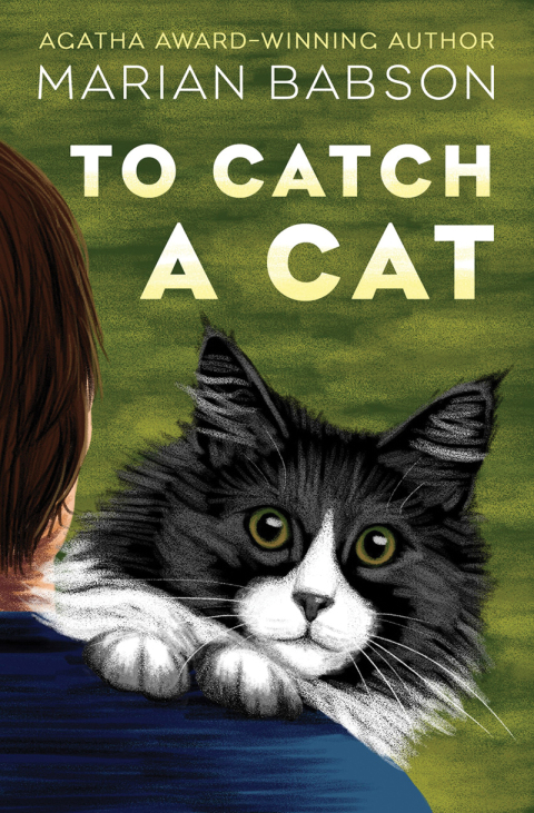 Cover image for book To Catch a Cat