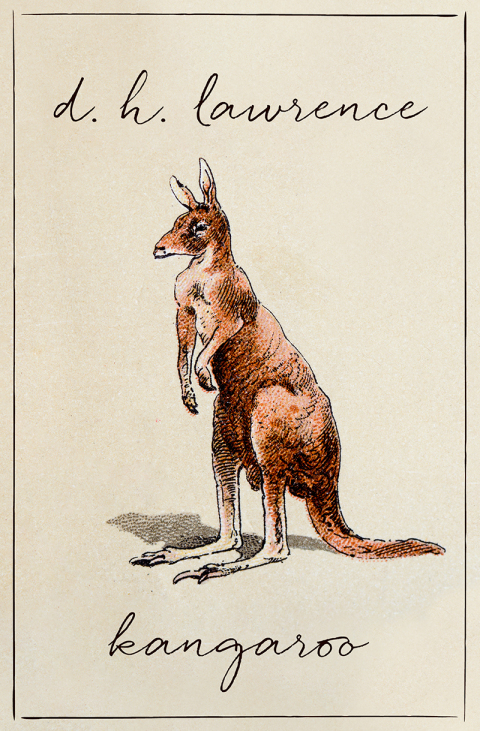 Cover image for book Kangaroo