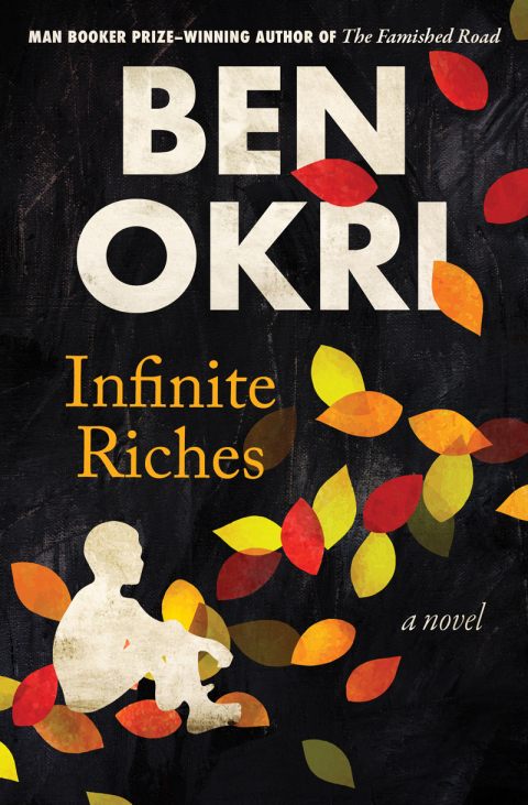 Cover image for book Infinite Riches