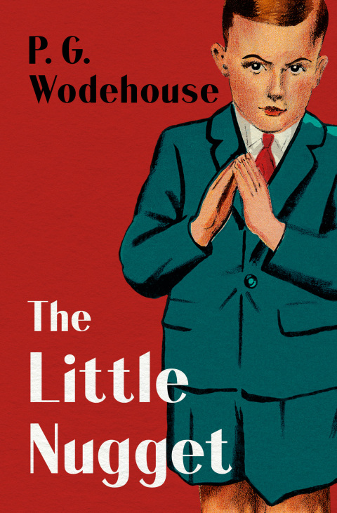 Cover image for book The Little Nugget