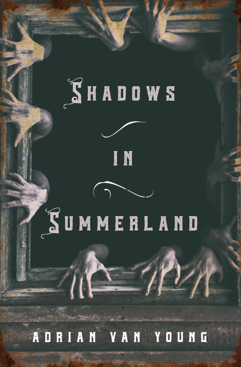 Cover image for book Shadows in Summerland