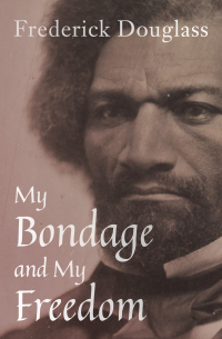 My Bondage And My Freedom Frederick Douglass Language Analysis