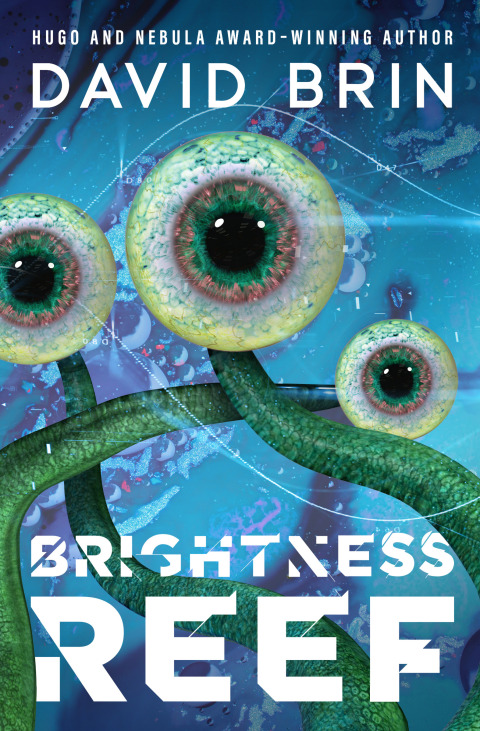 Cover image for book Brightness Reef