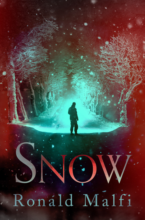 Cover image for book Snow