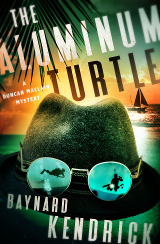 The Aluminum Turtle