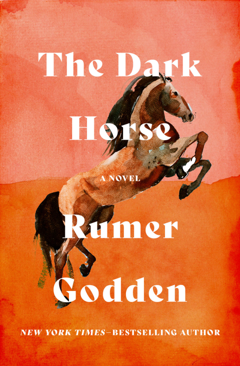 Cover image for book The Dark Horse