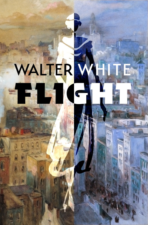Cover image for book Flight
