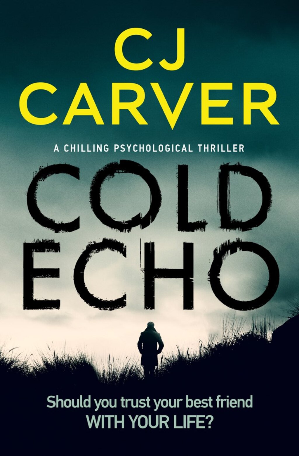 Cold Echo (eBook)
