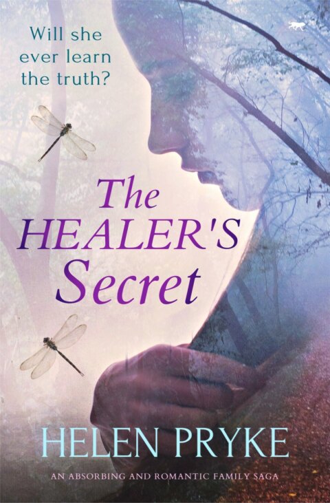 Cover image for book The Healer's Secret