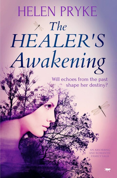 Cover image for book The Healer's Awakening
