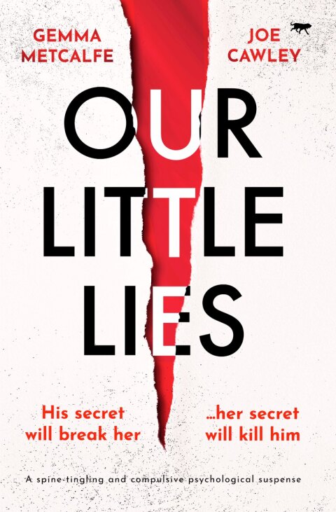 Cover image for book Our Little Lies
