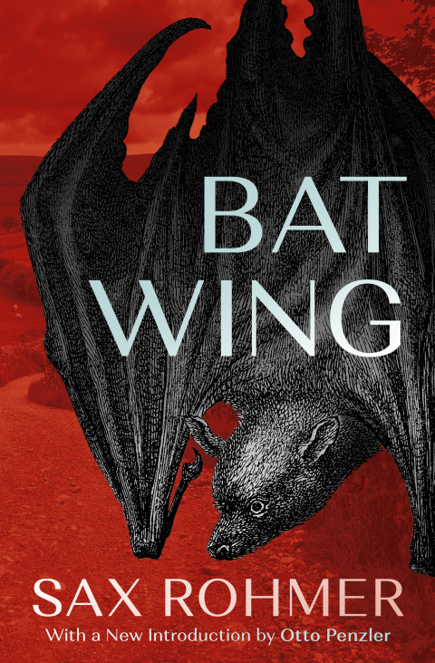 Cover image for book Bat Wing