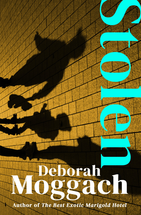 Cover image for book Stolen