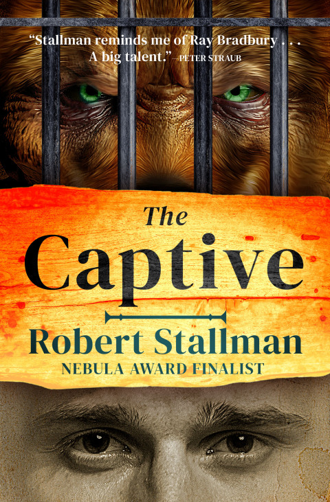 Cover image for book The Captive
