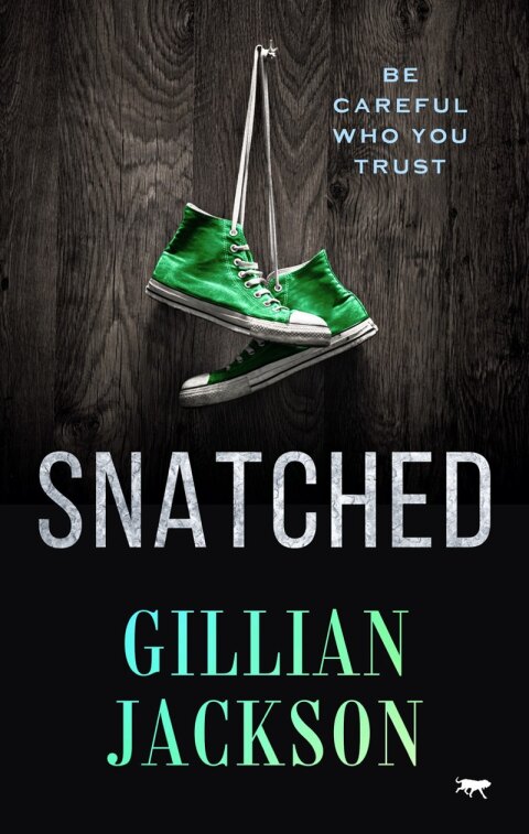 Cover image for book Snatched