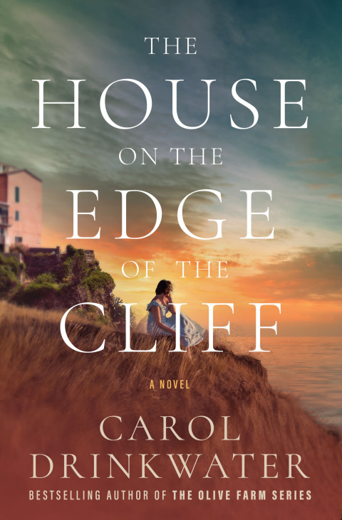 Cover image for book The House on the Edge of the Cliff