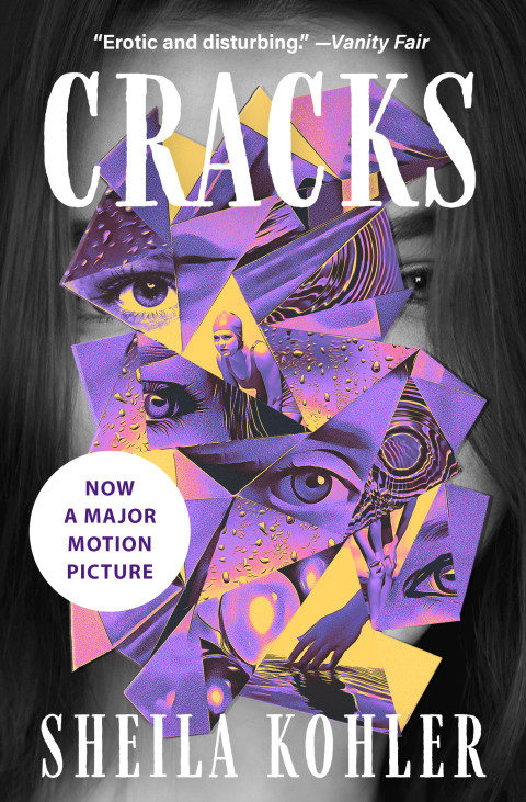 Cover image for book Cracks