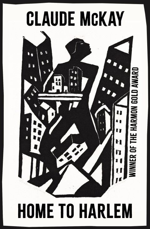 Cover image for book Home to Harlem