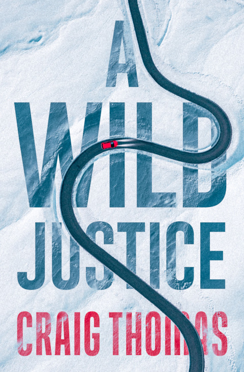 Cover image for book A Wild Justice