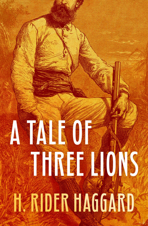 Cover image for book A Tale of Three Lions