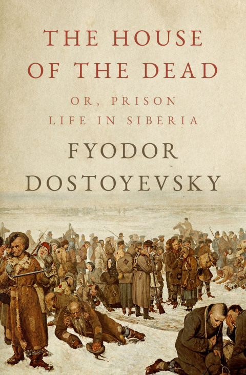 Cover image for book The House of the Dead