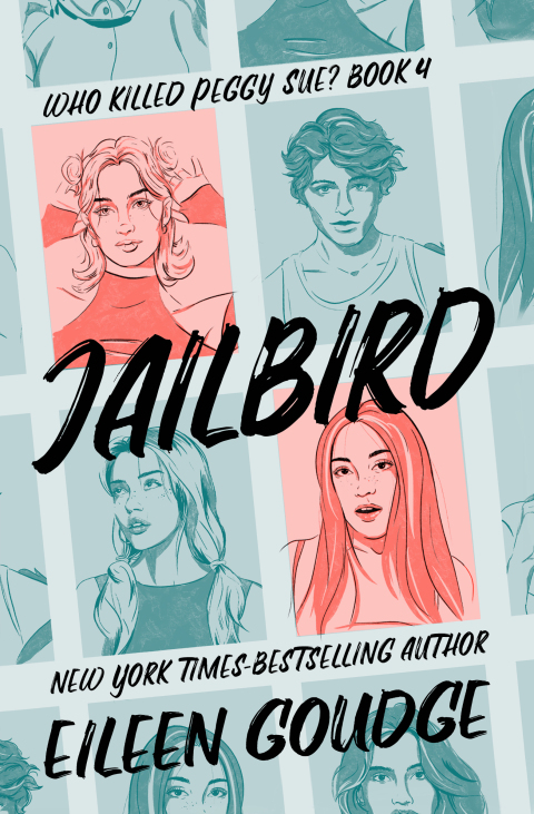 Cover image for book Jailbird