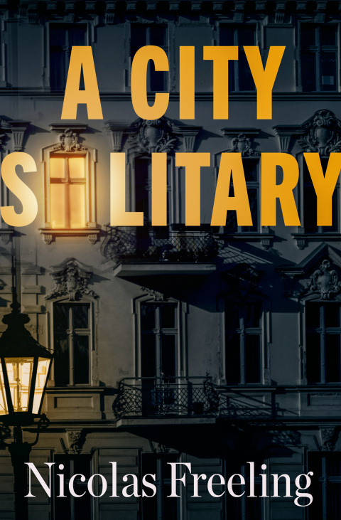 Cover image for book A City Solitary