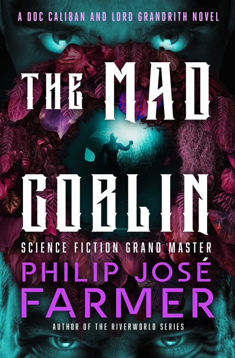 Cover image for book The Mad Goblin