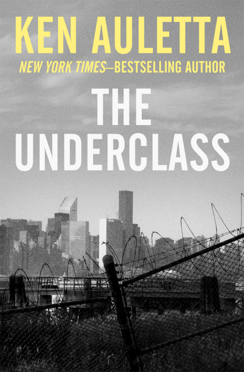 Cover image for book The Underclass