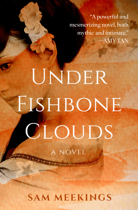 Cover image for book Under Fishbone Clouds