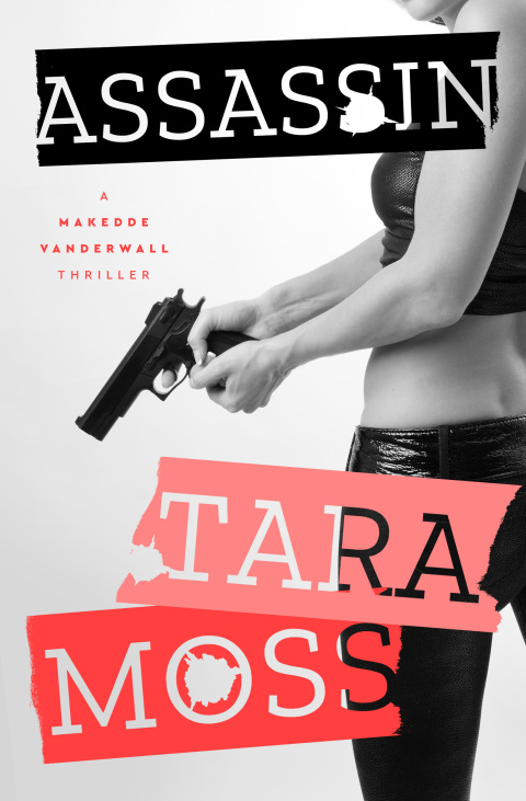 Cover image for book Assassin