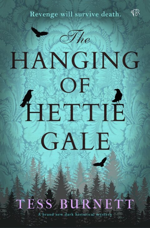 Cover image for book The Hanging of Hettie Gale