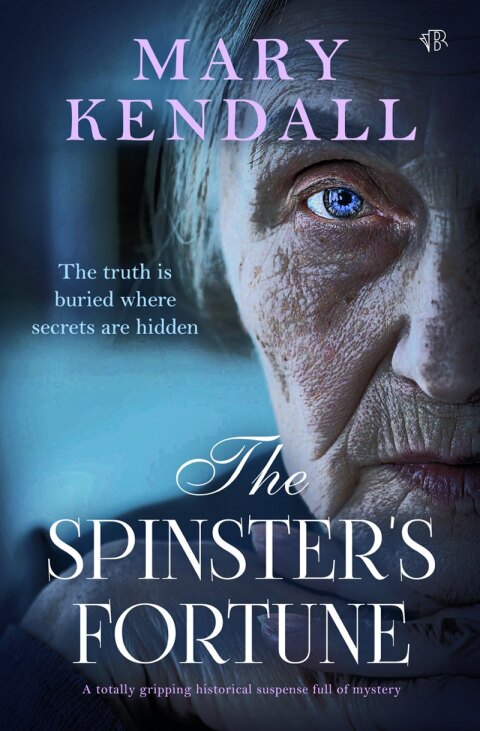 Cover image for book The Spinster's Fortune