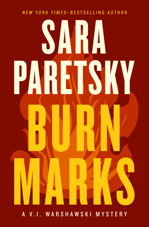 Cover image for book Burn Marks