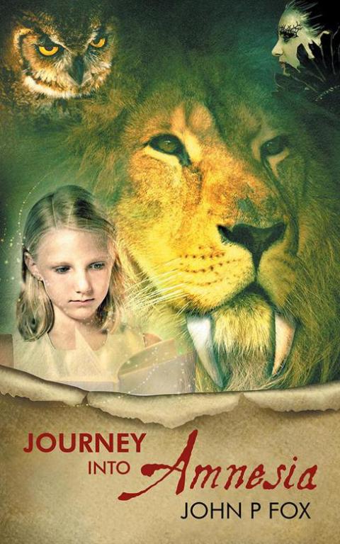 Cover image for book Journey into Amnesia