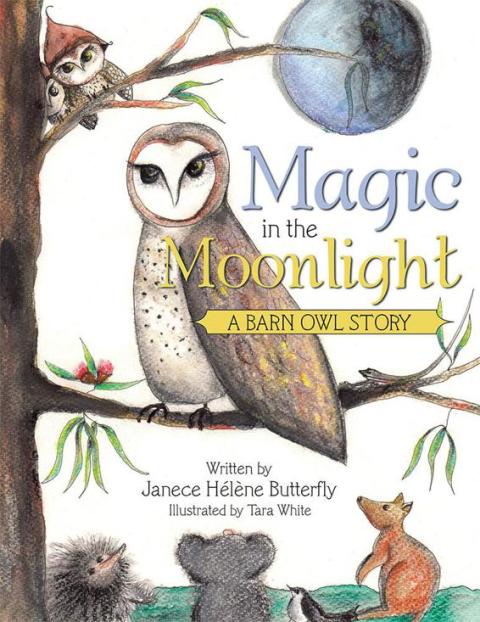 Cover image for book Magic in the Moonlight
