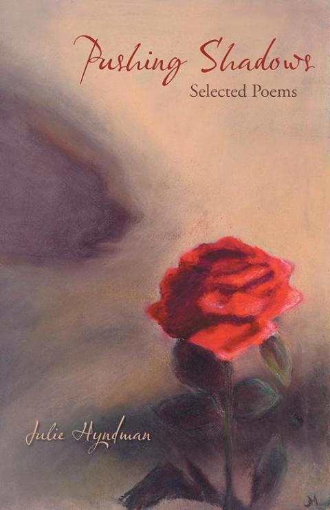 Cover image for book Pushing Shadows