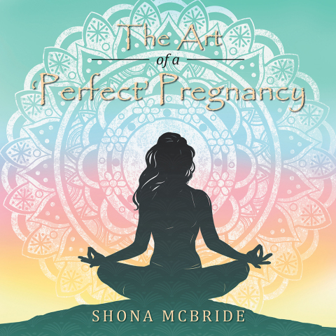 Cover image for book The Art of a ‘Perfect’ Pregnancy