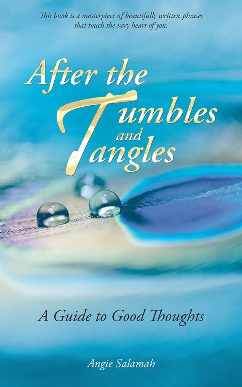 Cover image for book After the Tumbles and Tangles