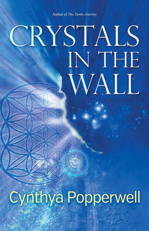 Cover image for book Crystals in the Wall