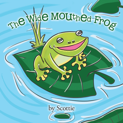 Cover image for book The Wide Mouthed Frog